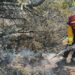 Refuerza Gobierno del Estado acciones coordinadas para el control de incendio forestal en Miquihuana