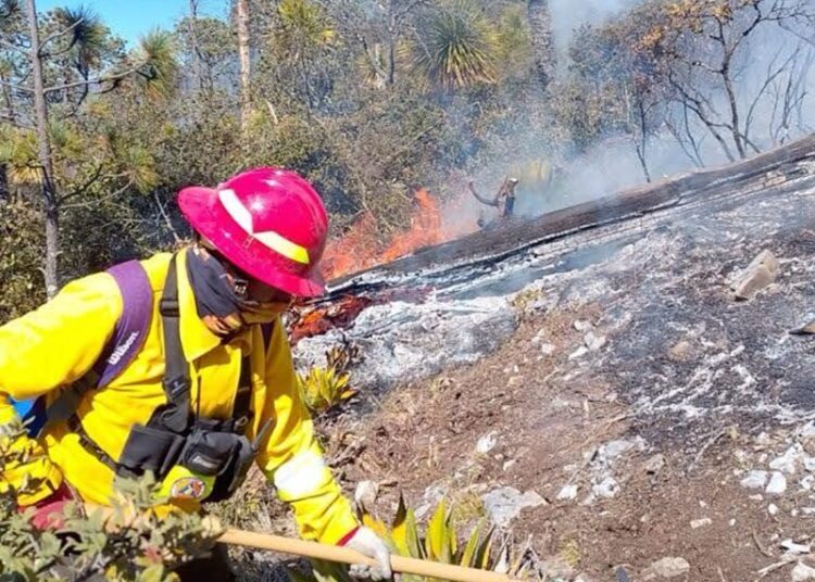 Refuerza Gobierno del Estado acciones coordinadas para el control de incendio forestal en Miquihuana
