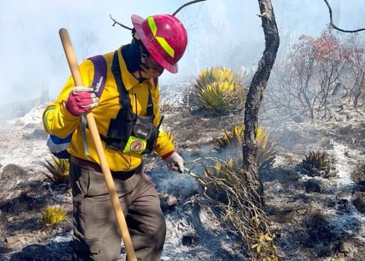 Refuerza Gobierno del Estado acciones coordinadas para el control de incendio forestal en Miquihuana