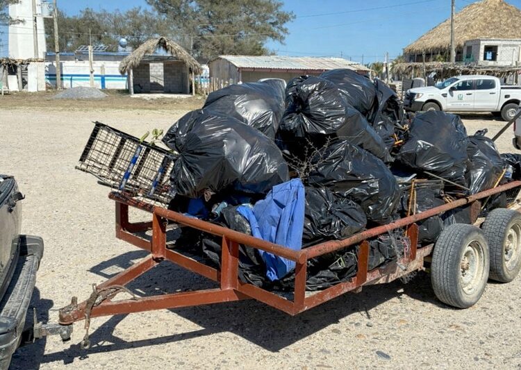 Refuerzan conciencia ambiental con limpieza de playas y humedales de Tamaulipas