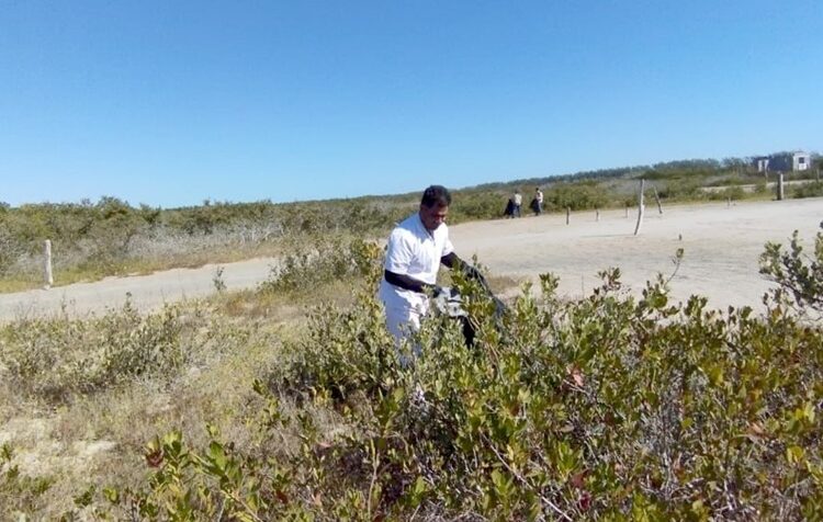 Refuerzan conciencia ambiental con limpieza de playas y humedales de Tamaulipas