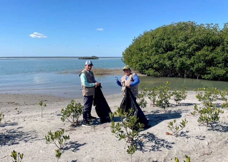 Refuerzan conciencia ambiental con limpieza de playas y humedales de Tamaulipas