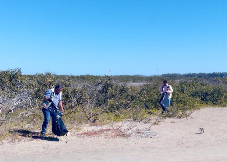 Refuerzan conciencia ambiental con limpieza de playas y humedales de Tamaulipas