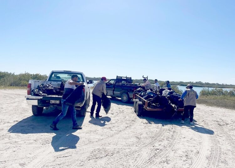 Refuerzan conciencia ambiental con limpieza de playas y humedales de Tamaulipas