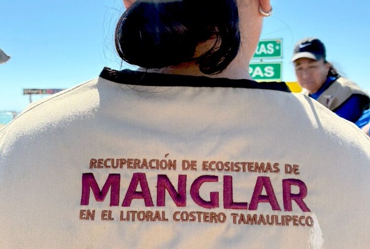 Refuerzan conciencia ambiental con limpieza de playas y humedales de Tamaulipas