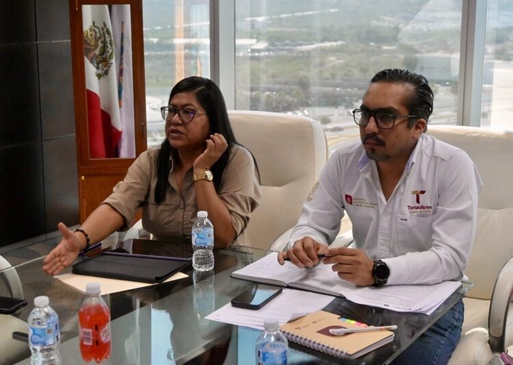 Respalda gobierno estatal aprovechamiento forestal bajo marco legal