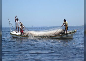 Se dispara consumo de mariscos en Tamaulipas por la cuaresma