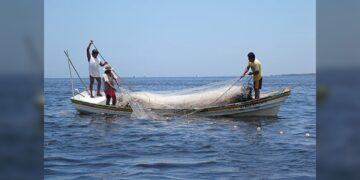 Se dispara consumo de mariscos en Tamaulipas por la cuaresma
