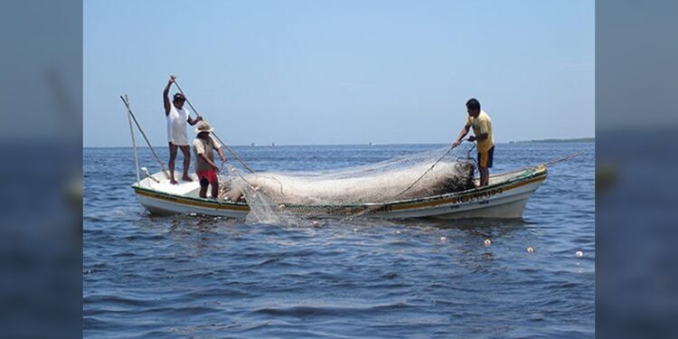 Se dispara consumo de mariscos en Tamaulipas por la cuaresma