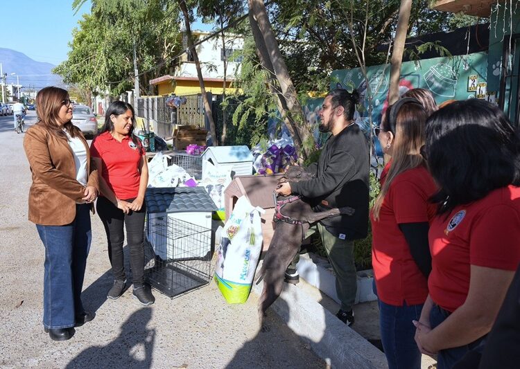 Transforman participación ciudadana en apoyo social a través del ‘Reciclatón 2025’