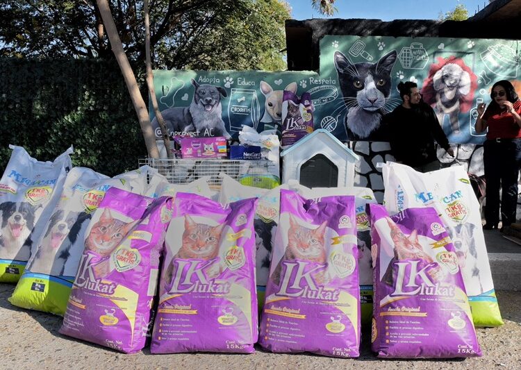 Transforman participación ciudadana en apoyo social a través del ‘Reciclatón 2025’