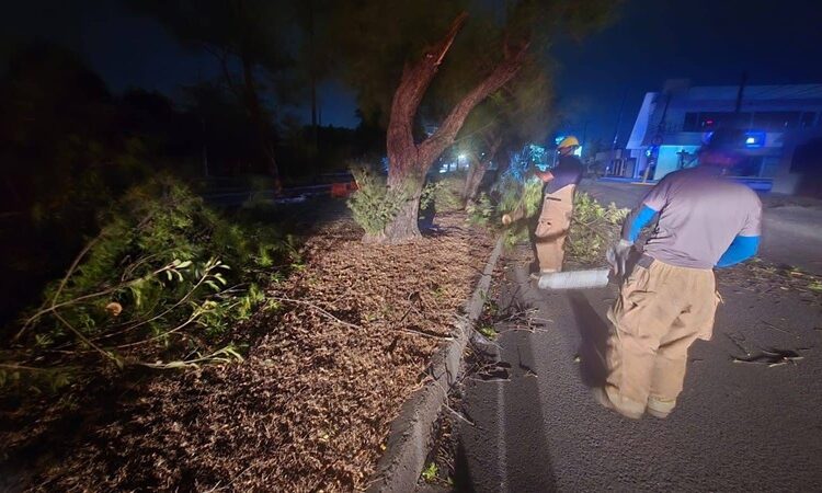 Activa Municipio operativo de limpieza y prevención por fuertes vientos en Victoria