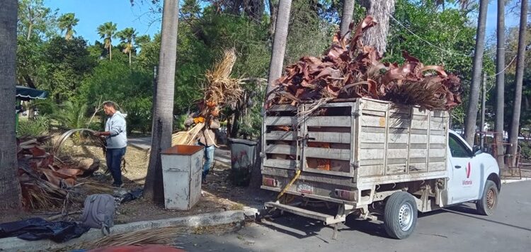 Activa Municipio operativo de limpieza y prevención por fuertes vientos en Victoria