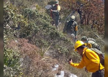 En Tamaulipas, frenan paso de transporte pesado en vacaciones de ‘Semana Santa’