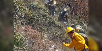 En Tamaulipas, frenan paso de transporte pesado en vacaciones de ‘Semana Santa’