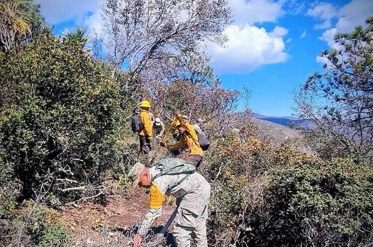 Controlado incendio forestal “Puerto del Volcán” en Miquihuana