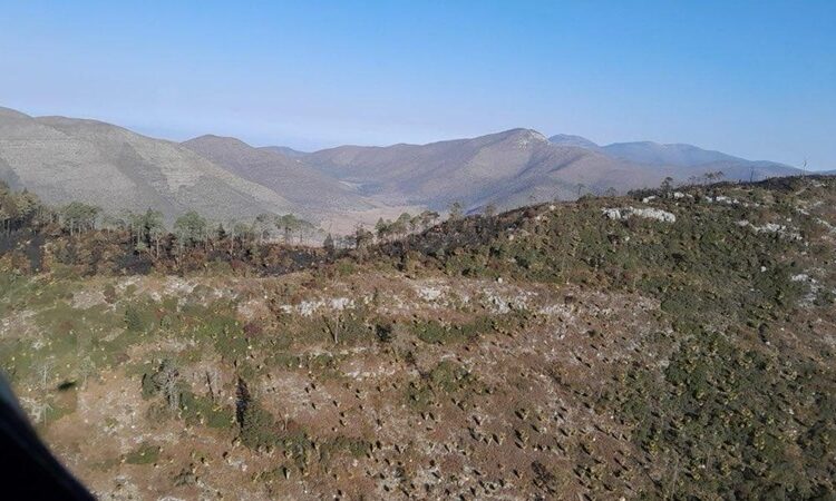Controlado incendio forestal “Puerto del Volcán” en Miquihuana