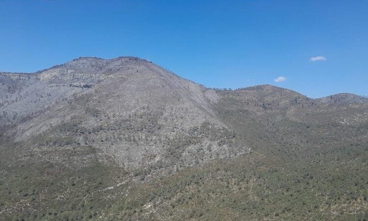 Controlado incendio forestal “Puerto del Volcán” en Miquihuana