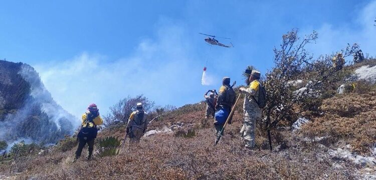 Controlado incendio forestal “Puerto del Volcán” en Miquihuana