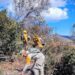 Controlado incendio forestal “Puerto del Volcán” en Miquihuana