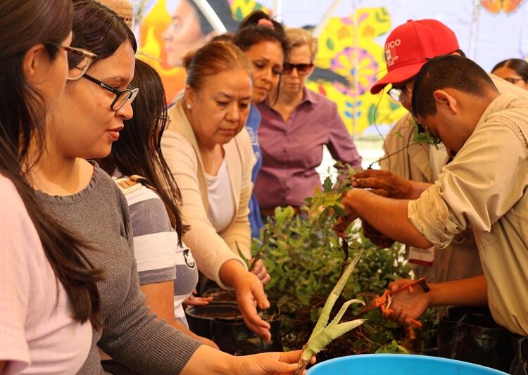 Culmina con éxito ‘Taller de Lombricomposta’ organizado por ‘INMUJER’ y ‘Gestión Ambiental’