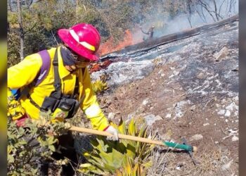 Cumple 8 días incendio forestal en Miquihuana y amenaza la ruta migratoria de la monarca