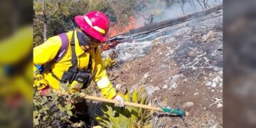 Cumple 8 días incendio forestal en Miquihuana y amenaza la ruta migratoria de la monarca