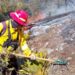 Cumple 8 días incendio forestal en Miquihuana y amenaza la ruta migratoria de la monarca