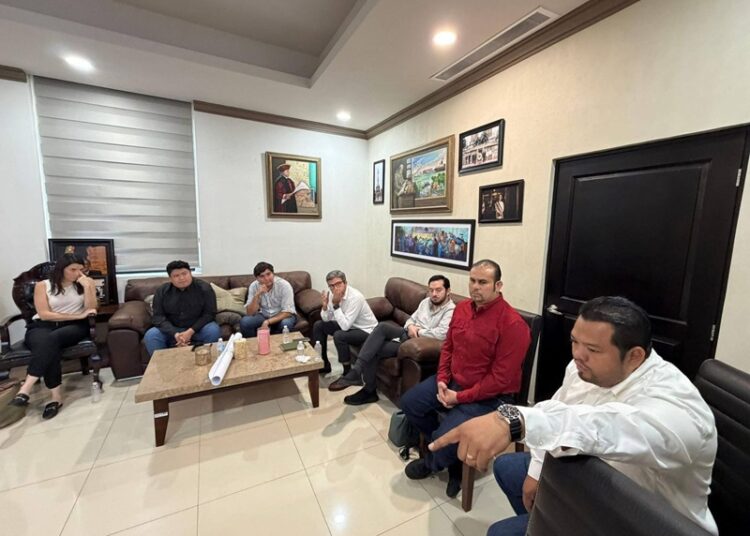 Dan seguimiento a proyecto de construcción del primer parque fotovoltaico en Altamira