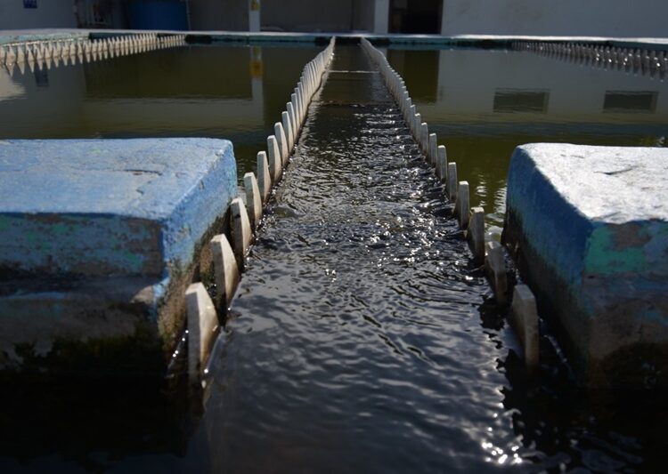 Desazolvados alrededor de 850 mil metros cúbicos en la laguna de Champayán