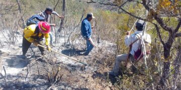 Escala incendio en Bustamante y moviliza a 82 combatientes en zona serrana