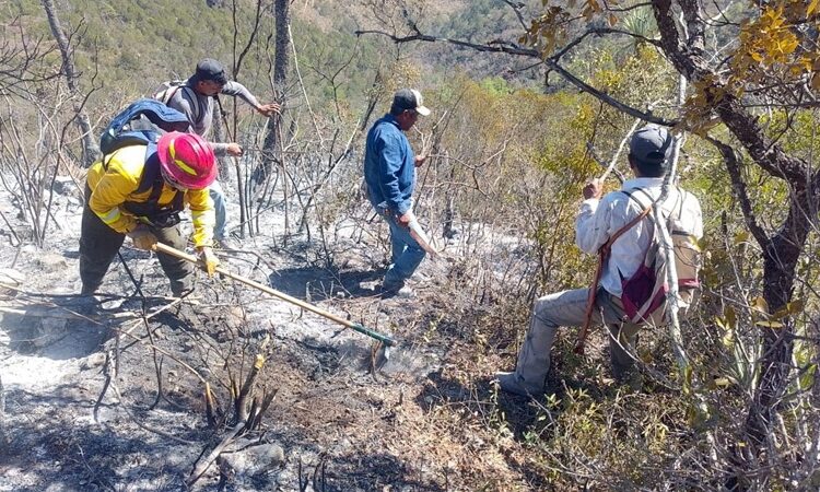 Escala incendio en Bustamante y moviliza a 82 combatientes en zona serrana