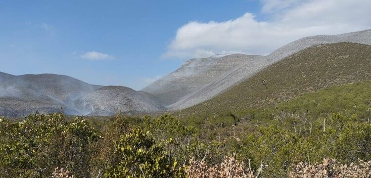 Escala incendio en Bustamante y moviliza a 82 combatientes en zona serrana