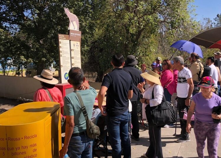 Fomenta Comisión de Parques la inclusión social con actividades recreativas para adultos mayores