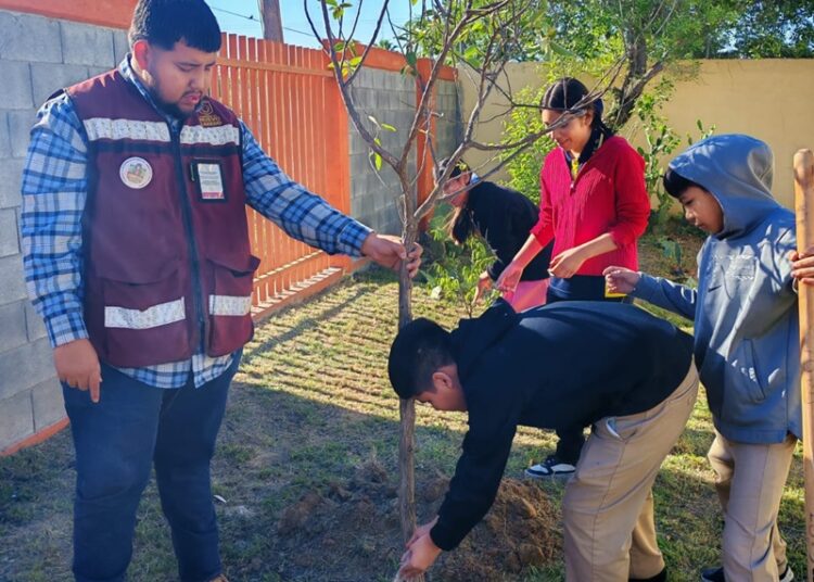 Fortalece Gobierno de NLD la educación ambiental en escuelas con acciones de reforestación