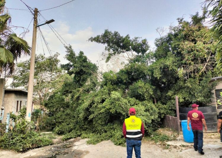 Implementa Gobierno de Altamira operativo para atender afectaciones por frente frío