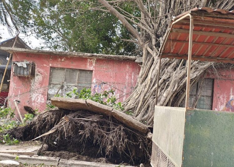 Implementa Gobierno de Altamira operativo para atender afectaciones por frente frío