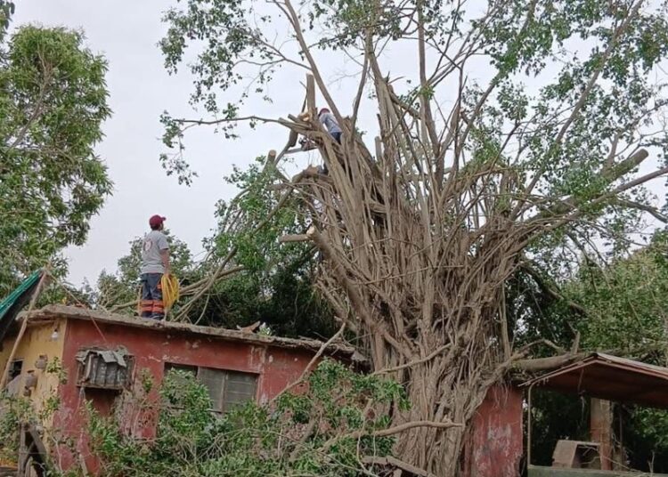 Implementa Gobierno de Altamira operativo para atender afectaciones por frente frío
