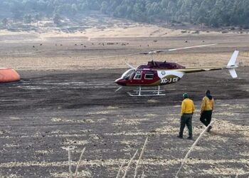 Incendio en Miquihuana deja 450 hectáreas afectadas tras casi dos semanas de combate