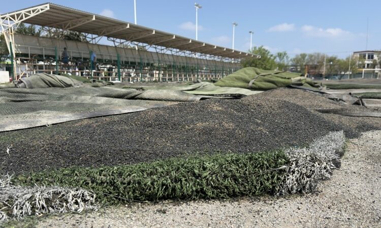 Inicia la rehabilitación de la cancha ‘Enrique Borja’ de Ciudad Victoria