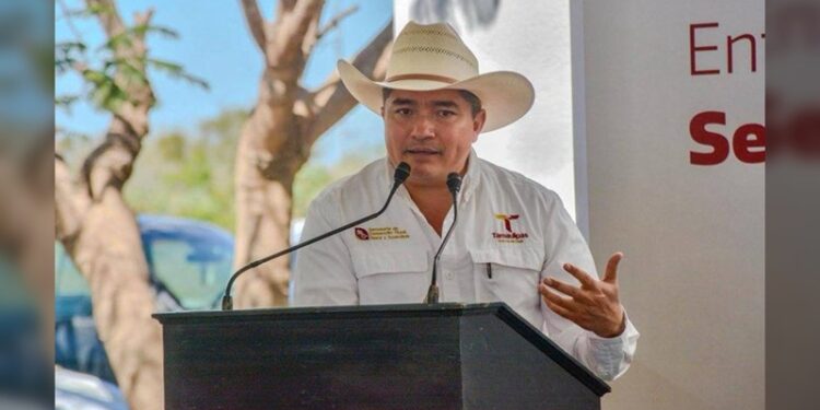 Intensifica Gobierno de Tamaulipas acciones para erradicar el gusano barrenador