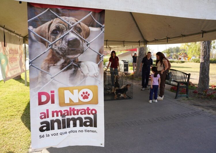 Invita Gobierno de NLD a dar un hogar a perros y gatos rescatados en Feria de Adopciones