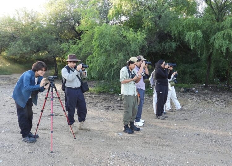 Invitan a jornada de pajareada y exposición fotográfica en el Museo TAMUX
