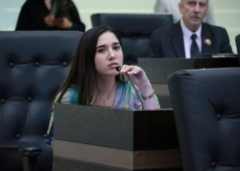 En Tamaulipas, plantean obligar construcción de viviendas ecológicas para ahorrar energía