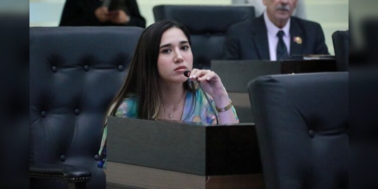 En Tamaulipas, plantean obligar construcción de viviendas ecológicas para ahorrar energía