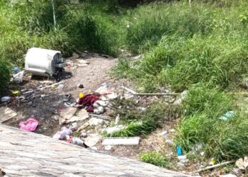 Urge Liga de Comunidades Agrarias a ganaderos a blindar hatos en Tamaulipas