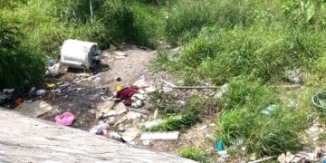 Urge Liga de Comunidades Agrarias a ganaderos a blindar hatos en Tamaulipas