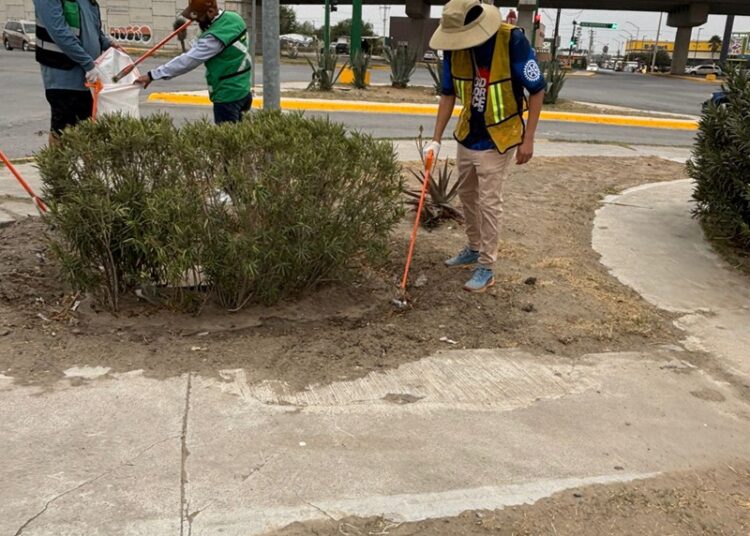 Realiza NLD jornada de limpieza en Lomas del Río en el marco del ‘Día Mundial de la Naturaleza’