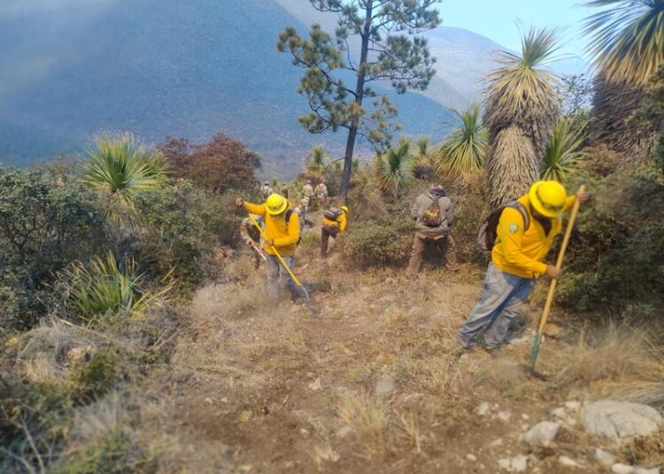 Refuerzan operativo interinstitucional para combatir incendio forestal en Miquihuana