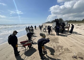 Senado exige claridad sobre derrame petrolero y daños ambientales en costas mexicanas